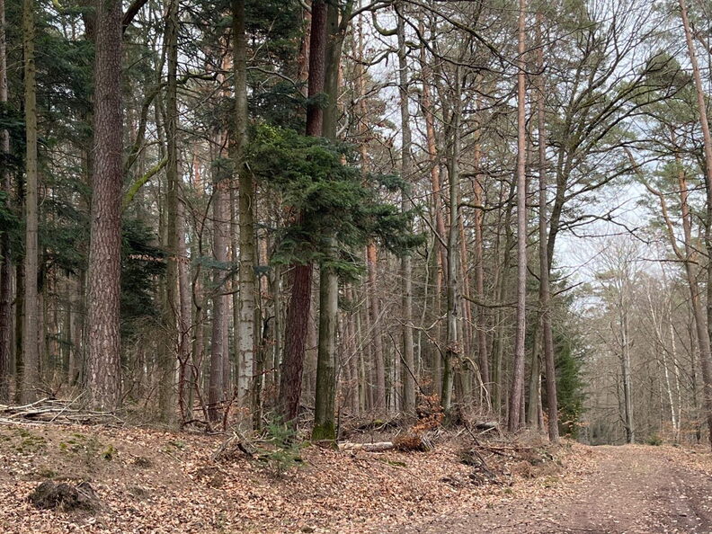 23-02-26 15-52-50 4378